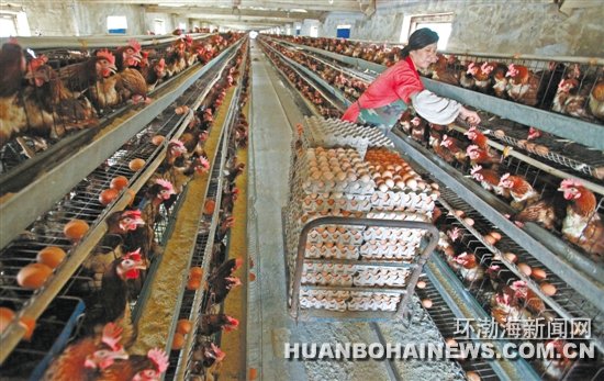 �γ���ֳ��������ѭ����չ֮·