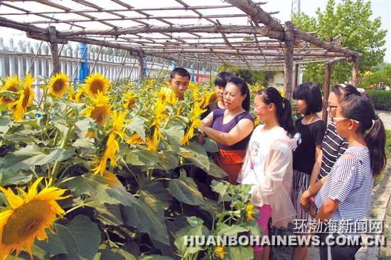 У԰��΢ũ����ũ��ѧũ��