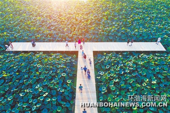 ��ɽ�Ϻ�������ۺ�ľջ������һ��