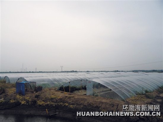 ��������Ϻ ��ɽͷһ�� һ��Ϻ�������������ͼ��