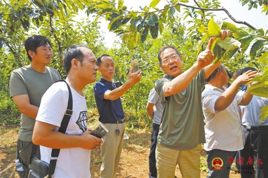 Ǩ���Ƽ����縻ũ��