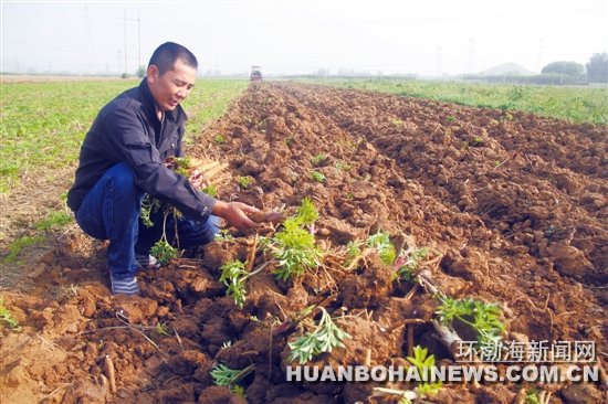 ��ɫũҵ��ũ��