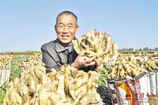 �¾�����󽪽����ջ���