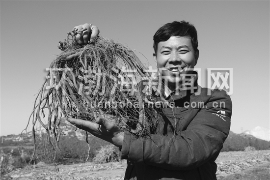 ����ҩ����ũ����