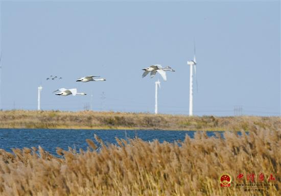 �й�Ұ��Э��־Ը�߻�����������ɡ�