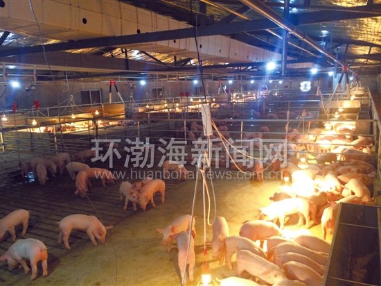 �����緢�� ��ֳ���¸�����«̨�帻��˾����������