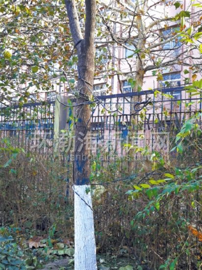 20�û������ϲ������� ���ɣ�