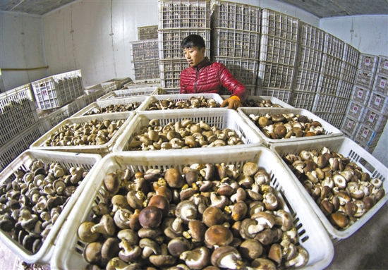 ��ɽ�񻯣��㹽�������г�