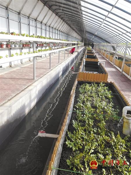 �����׸���˹���ϵͳ��Ŀ�ڲ�����Ͷ������