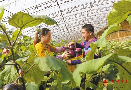 ��ͤ���컪�������߲˹�Ӧ����