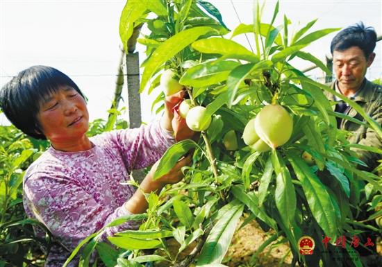 ��һ��һƷ��������