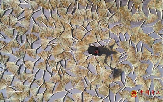 С���� ���ҵ