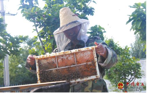 ��������ũ����