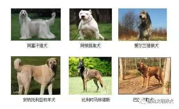 8f292a96e56a5f118caafaa9fa679ace.jpg