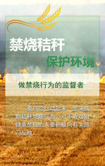 a647b3bfc213ac6cadcaceff37a7296d.png